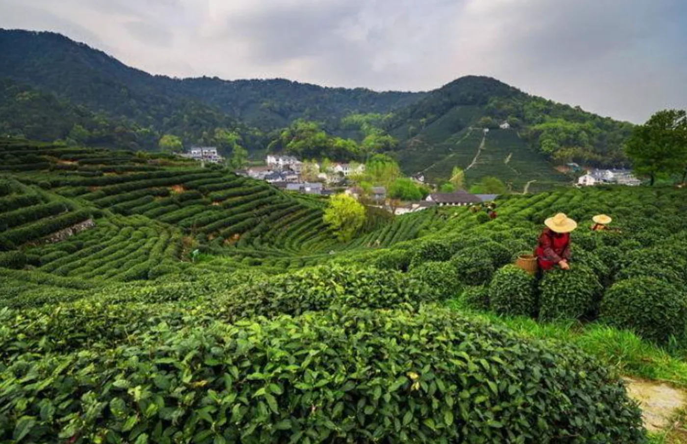 Aldea del té de Longjing