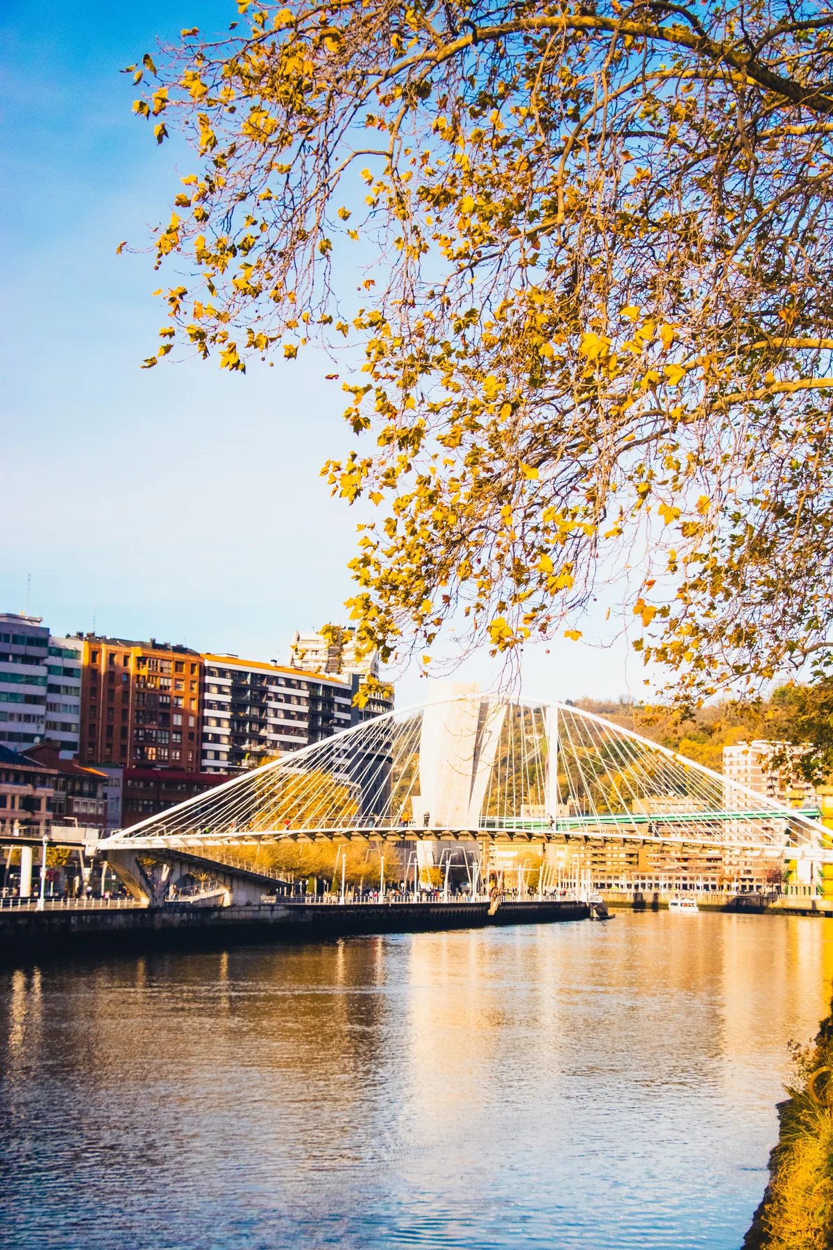 Paseo por la ría del Nervión — Viavora Travel