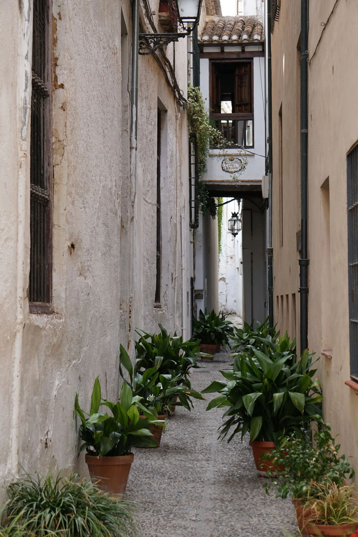 Albaicín — Viavora Travel