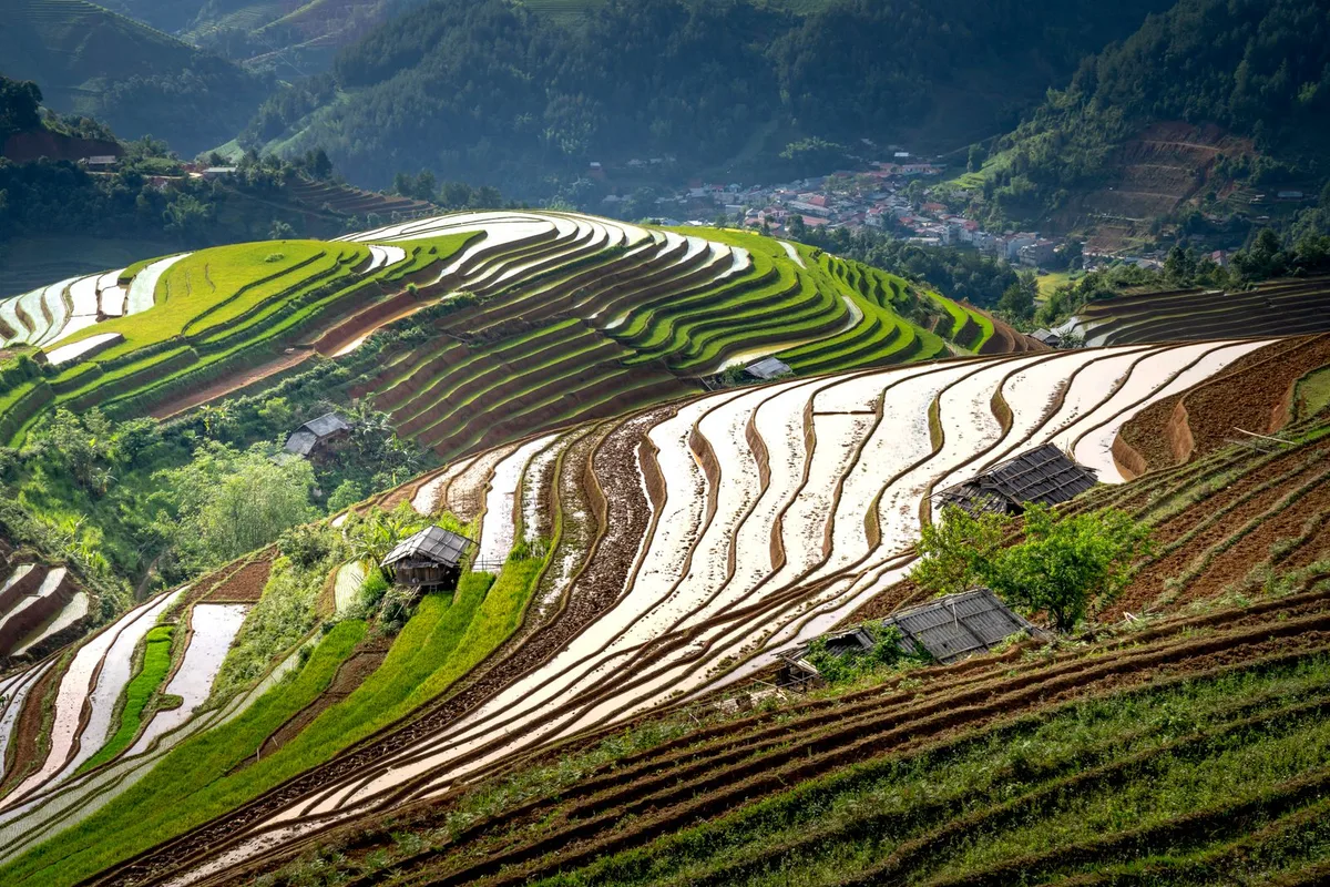 Terrazas de arroz de Longji — Viavora Travel
