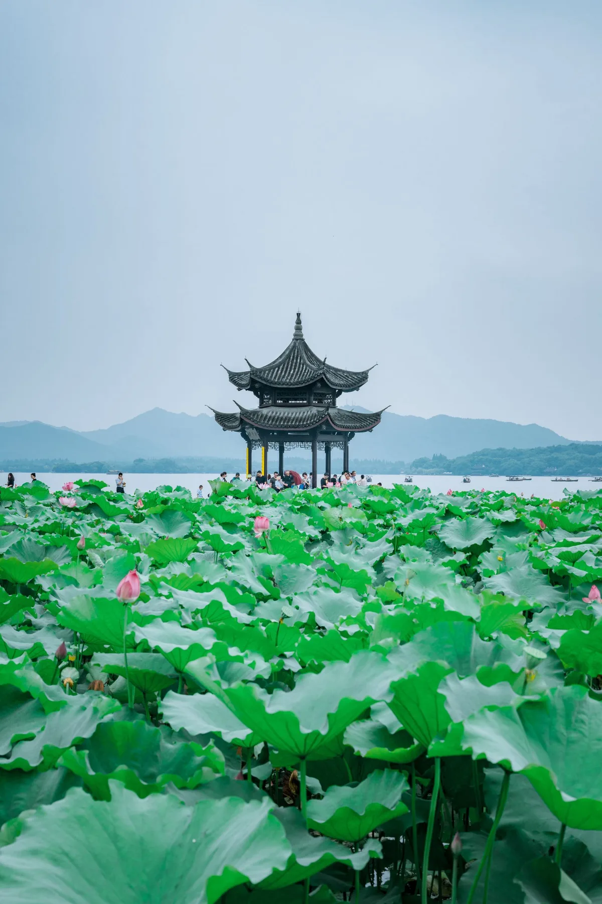 Calzada de Su Dongpo — Viavora Travel